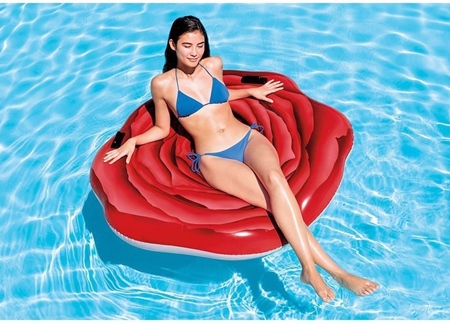 Intex rode roos