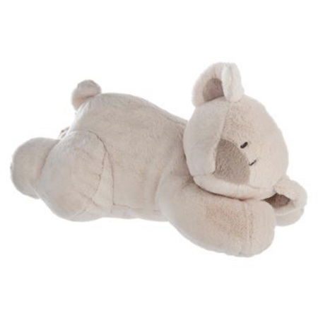 Teddybeer